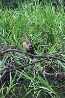 IMG_1405