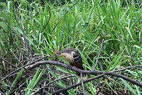 IMG_1406