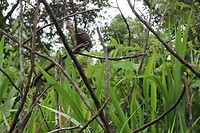 IMG_1407