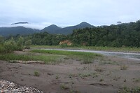 IMG_1415