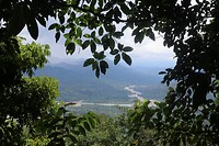 IMG_1434