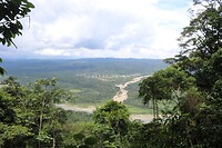 IMG_1447