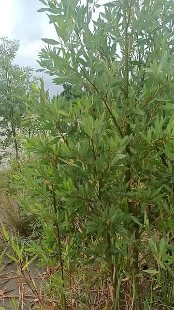VID20221228132259