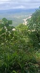 VID20221229122522