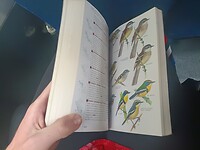 IMG20221227120537