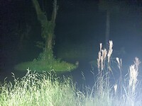 IMG20221227204452