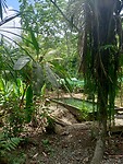 IMG20221228121413
