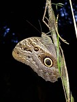 IMG-20230103-WA0017