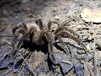 IMG-20230103-WA0003