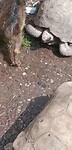 WhatsApp Video 2023-01-03 at 15.47.38