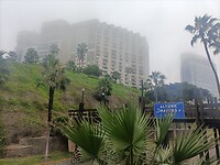 IMG20230121100535