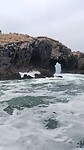 VID20230126114036