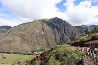 IMG_1465