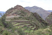 IMG_1484