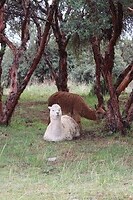 IMG_1510