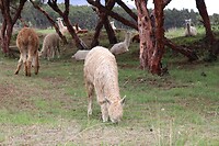 IMG_1511