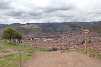 IMG_1522