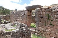 IMG_1552