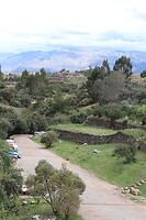 IMG_1571