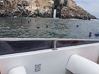 IMG-20230129-WA0424