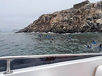 IMG-20230129-WA0426