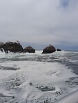 IMG-20230129-WA0445