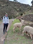 IMG-20230129-WA0625