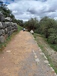 IMG-20230131-WA0058