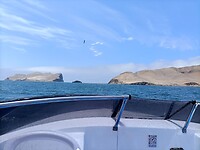 IMG20230126111633