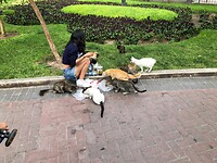 IMG-20230129-WA0049
