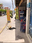 IMG-20230202-WA0023