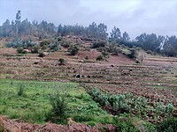 IMG20230205181741