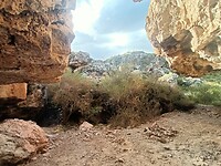 IMG20230205173750