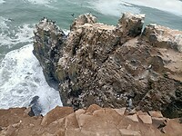 IMG20230212165443