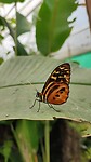 IMG-20230217-WA0021