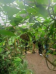 IMG20230217110850