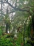 IMG20230217102846
