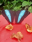 IMG20230217112154