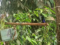 IMG20230217101713