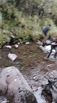 VID20230219153149