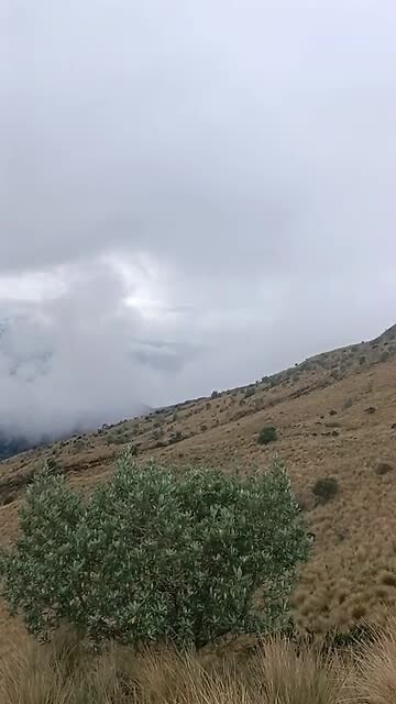 VID20230221104321