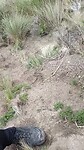 VID20230224141817