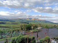 IMG20230221071852