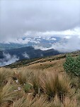IMG20230221104253