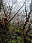 IMG20230221115831
