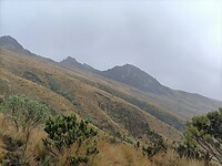 IMG20230221122107