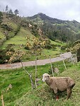 IMG20230222121614