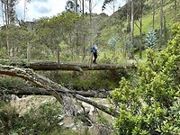 IMG-20230223-WA0014