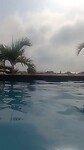 VID20230304154532