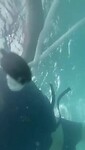 VID-20230305-WA0038